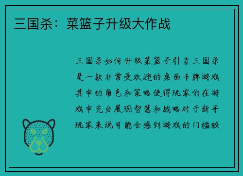 三国杀：菜篮子升级大作战